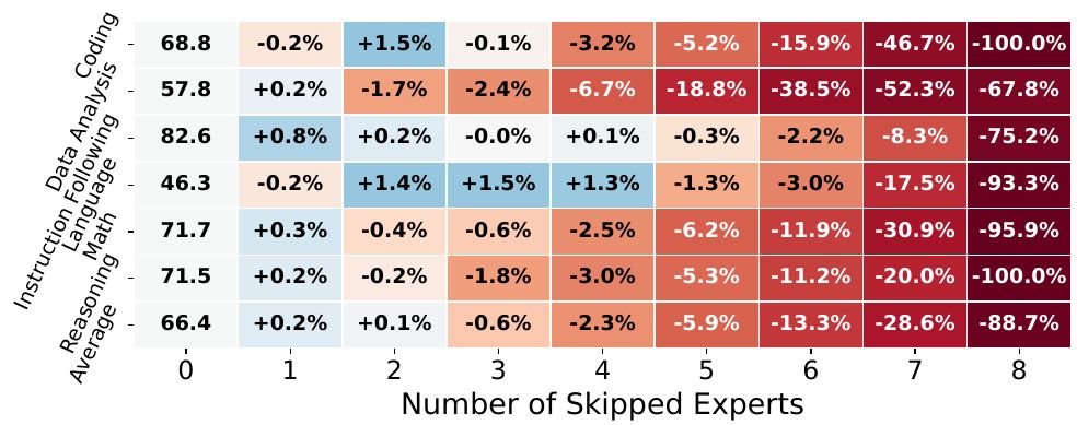 (a) Expert Skipping